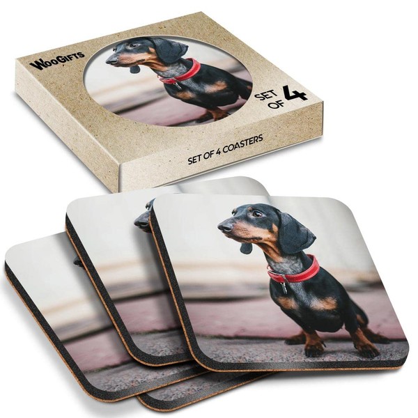 4 x Square Coasters - Dachshund Dog Black Red Collar