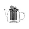 Premier Housewares High Borosilicate Teapot, with Strainer, 650 ml, 12