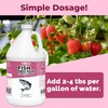 Fish Emulsion Fertilizer – Liquid Salmon Supplement for Fast Nutrient