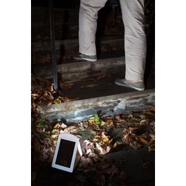 MAXSA 40234 Motion Activated Weatherproof Solar LED Wedge Light, White