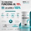Epic Labs CreaNova® Creatina Monohidratada con Vitamina B6, Alta Pureza,