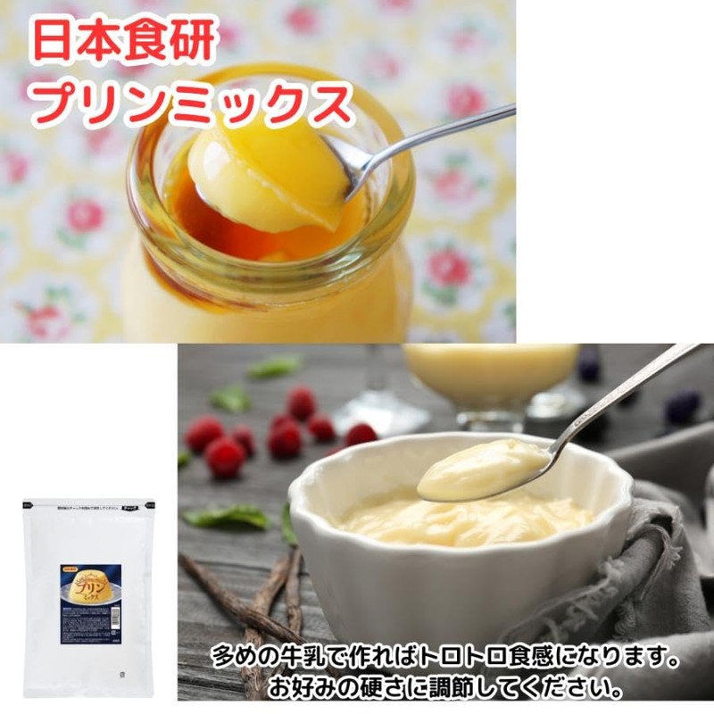 [Nippon Shokuken Commercial Dessert] Pudding Mix 17.6 oz (500 g),