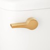 Signature Hardware 484644 Bradenton Toilet Tank Lever