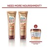 LOreal Paris Hair Care Evercreme Sulfate Free Deep Nourish Shampoo,