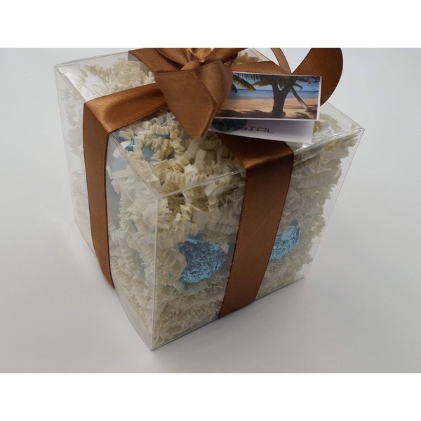 Spa Pure Ocean Bath Bombs: 8th & OCEAN GIFT SET with 6 Bath Bomb Fizzies with Shea, Mango & Cocoa Butter, Ultra Moisturizing (14 Oz) Great for Dry Skin, All Skin Types (8th & Ocean)