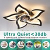HuixuTe 24" Ceiling Fan with Lights Remote Control, 6 Speeds