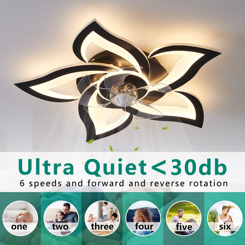 HuixuTe 24" Ceiling Fan with Lights Remote Control, 6 Speeds