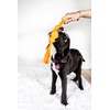Hartz Tuff Stuff Fetch & Tug Dog Toy - Small