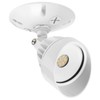 Maxxima LED Outdoor Flood Wall Light, Exterior Security Light w/Adjustable