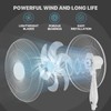 mollie Oscillating Pedestal Fan with Remote Control 12H Timer Portable