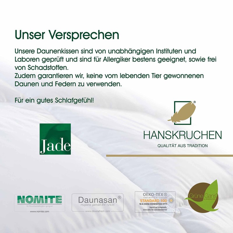 HANKRUCHEN® | 925.20.336 | JADE | Down Pillow - 40