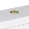 QiANGRENSD Flush Button Brushed Brass Universally Toilet Dual Flush Button