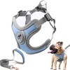 SAEGYPET Dog Harness with Leash Set, No Pull Adjustable Step