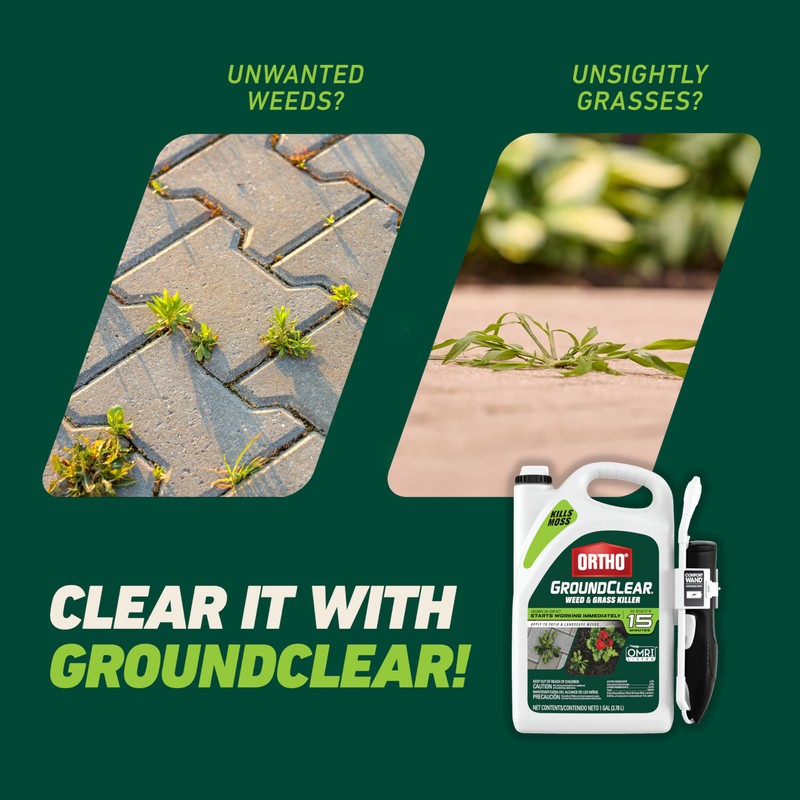 Ortho GroundClear Weed and Grass Killer with Comfort Wand, Kills