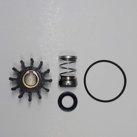 SCP-12137 Minor Repair Kit for Oberdorfer pump 302m-03