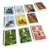 Pandasaurus Games Pixies Card Game - Colorful Card Drafting Strategy