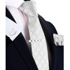 GUSLESON 3.15"（8cm） White Plaid Tie Men's Tie Fashion Necktie Clip
