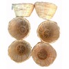 Finch Bird Bamboo Opened Bird Nest Lot of 6-Medium