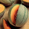 25 Minnesota Midget Cantaloupe Seeds for Planting Heirloom Non GMO