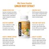 StayAlive Pure Ginger Root Extract Capsules - 10:1 Super Extract,