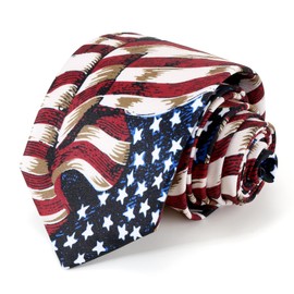 UETLRO Men's Patriotic Neckties American Flag Ties 3.27" (8.3CM) USA Flag Ties For Men