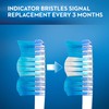 Oral-B Indicator Contour Clean Toothbrushes, Medium, 4 Count, Extra Value