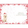 doodlecards To The Dog Christmas Card Cute Santa Paws Puppy