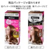 Blaune Bubbles Color Hair Dye
