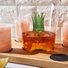 Tequila Decanter With Four Pink Himalayan Salt Shot Glasses Set,
