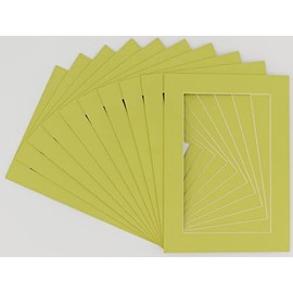 CountryArtHouse Pistachio Acid Free 12x18 Picture Frame Mats with White Core Bevel Cut for 11x14 Pictures - Fits 12x18 Frame - Pack of 10 Mats