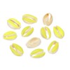 PATIKIL Cowrie Sea Shells, 10 Pcs Yellow Green, White Smooth