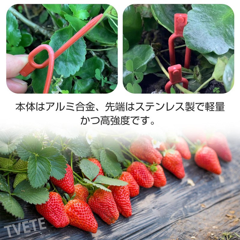 Plant Support, 150 Pieces, Runner Pins, Gardening Clips, Plant Fixing,