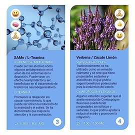 Sapientia Flow - Promueve PRODUCTIVIDAD y CLARIDAD MENTAL Nootrópico 100% natural, Gluconato de Zinc, Pasiflora, L-teanina, Verbena, Selenio, Complejo