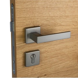 Gedotec Door Handle Set Aluminium Door Fittings Stainless Steel 1 Piece Door Handle Room Door – Push 1317 PZ Cylinder Handle Pair Silver for Interior Doors Door Handle Set Including Mounting Material