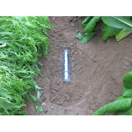 konparu Originating House Mole Single