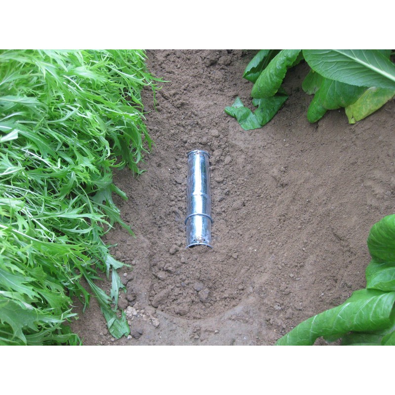 konparu Originating House Mole Single