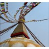 GURU SHOP Tibetan Prayer Flags 10 Flags 1.90 m Cotton