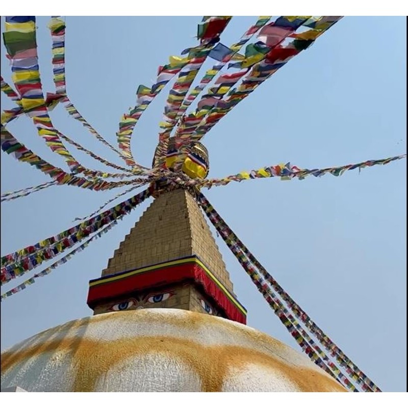 GURU SHOP Tibetan Prayer Flags 10 Flags 1.90 m Cotton