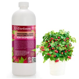 𝐏𝐑𝐎𝐅𝐄𝐒𝐒𝐈𝐎𝐍𝐀𝐋 Liquid Silica Plant Supplement - 32oz - Raspberry Plants Liquid Silica Boost Fertilizer - Stronger Stems & Healthy Leaves for Indoor & Outdoor Raspberry (Makes 180 Gallons)