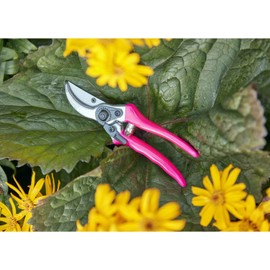 Burgon & Ball FloraBrite RHS Endorsed Bypass Secateur, 21 cm Length, Pink