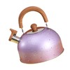 Water Kettle Stainless Steel Whistle Water Kettle Large Capacity Flat