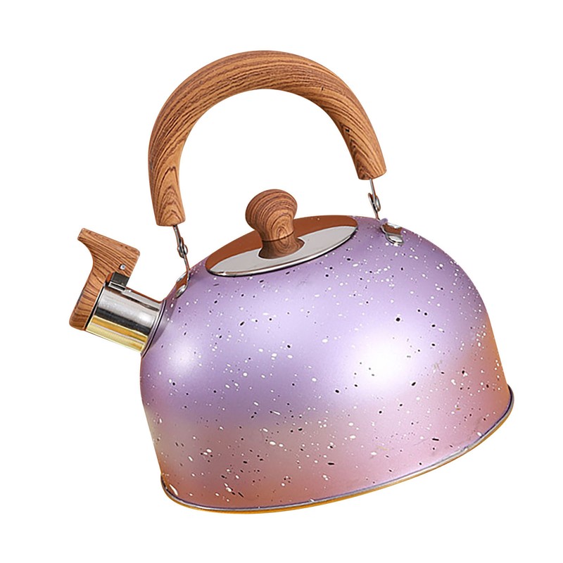 Water Kettle Stainless Steel Whistle Water Kettle Large Capacity Flat