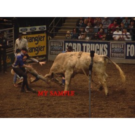 2005 TROY DUNN & GREG CRABTREE ACTION PBR PROFESSIONAL BULL RIDING 8 by 10 PHOTO