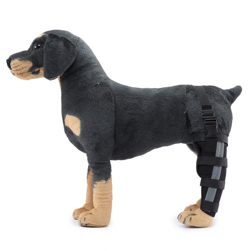 Dog Hind Leg Brace Stable Support Knee Pads Puppy Rear