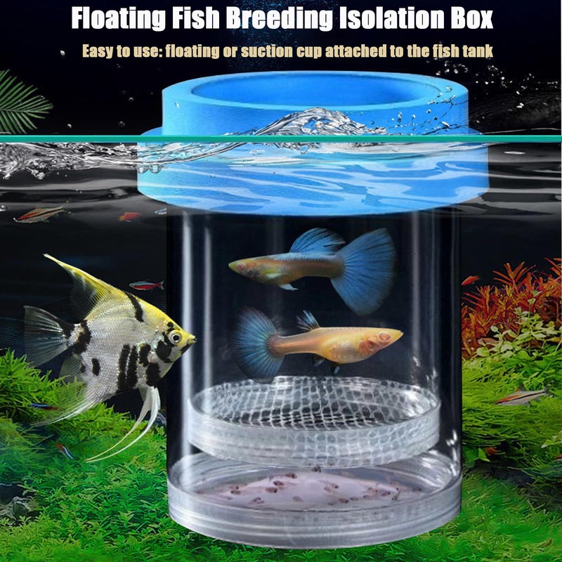 Breeder Box for Fish Tank, Plastic Aquarium Breeding Chamber, Floating