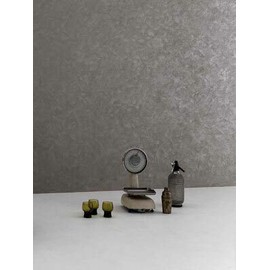 Viero Silk | Silk Effect Venetian Plaster - Silver (1 Liter)