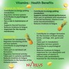 Probiotics & Vitamins for Kids and Adults Natural Pineapple Gummies