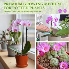 BIOMAND 2.5qt LECA Clay Pebbles for Plants, 10-20mm LECA Balls for Hydroponics, Natural Clay Balls for Plants Drainage, Expanded Pebbles for Orchids, Soil Amendment, Orchid Potting Mix