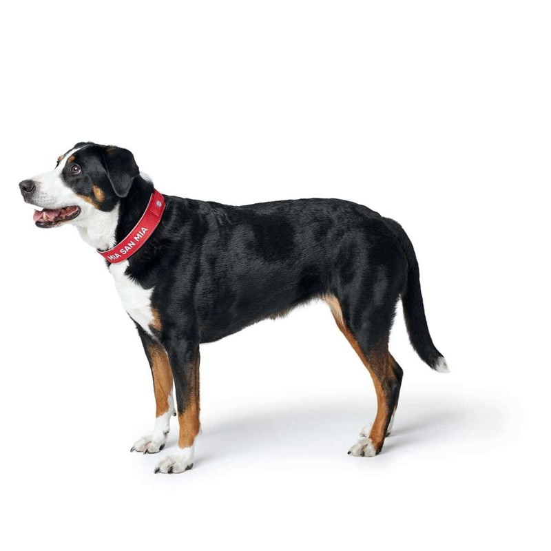 Hunter Neoprene Collar Reflect FC Bayern L (60)