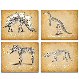 Original Dinosaurs Art Prints - Set of Four Photos (8x10) Unframed - Makes a Great Gift Under $20 for Jurassic Boy's Room Wall Decor